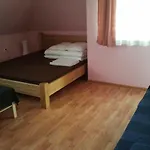 Проживание в семье Maximus *