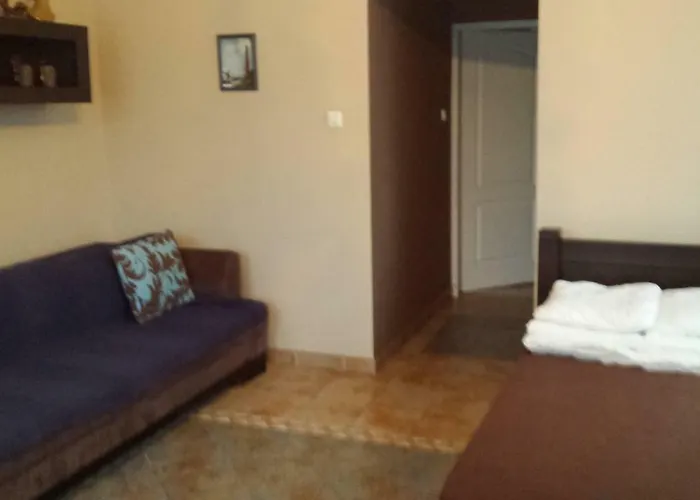 Maximus * 库瑞尼卡慕斯卡