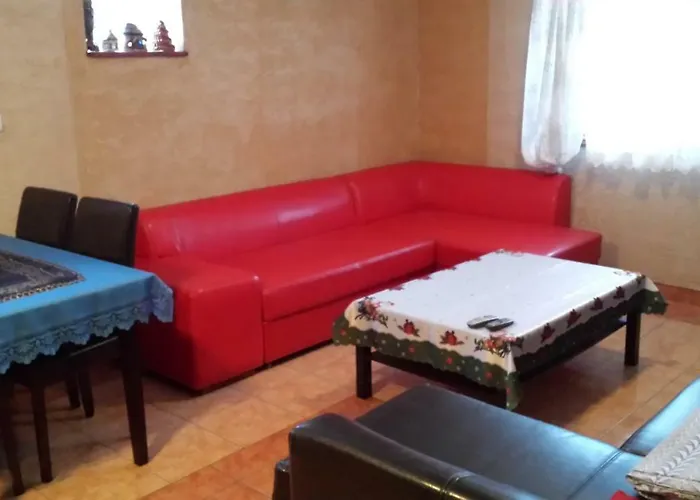 Maximus Krynica Morska