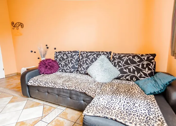 Maximus 库瑞尼卡慕斯卡